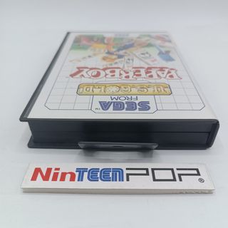 Paperboy Sega Master System