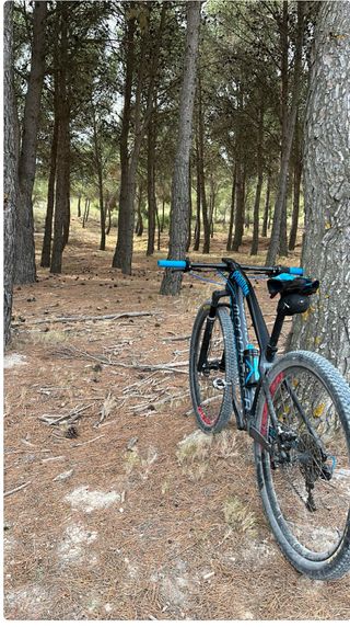 bicicleta de carbono  cambiaria por Ebike