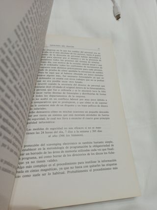 El delito informático - Luis Camacho