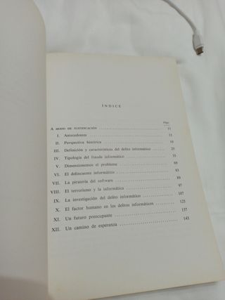 El delito informático - Luis Camacho