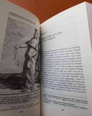 Candide (French Edition)