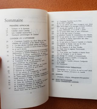 Candide (French Edition)