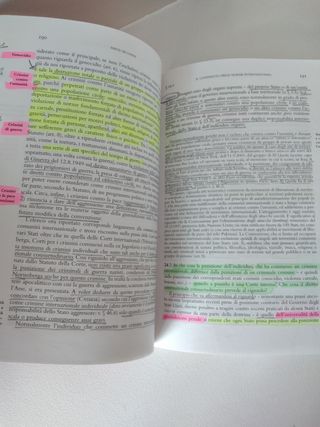 Diritto Internazionale (International Law)