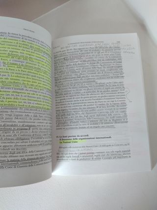 Diritto Internazionale (International Law)