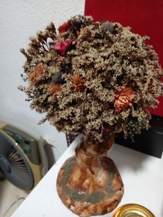 Bonsai flores naturales secas