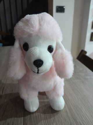 Peluche barboncino 