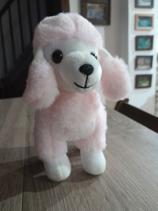Peluche barboncino 