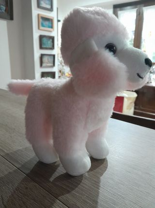 Peluche barboncino 