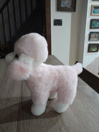 Peluche barboncino 