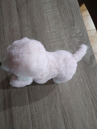 Peluche barboncino 