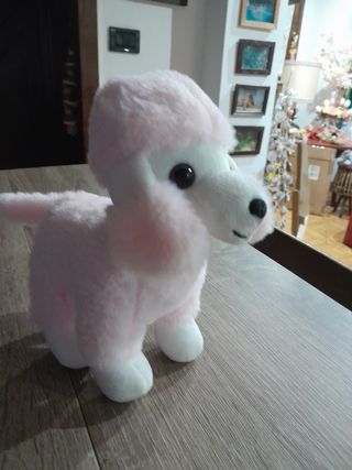 Peluche barboncino 