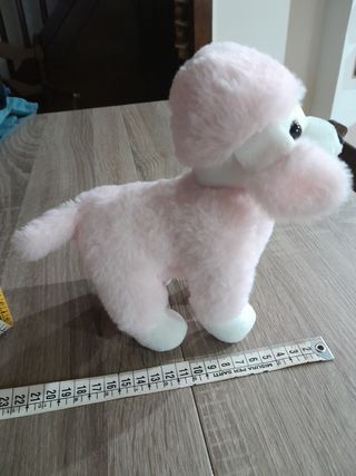 Peluche barboncino 