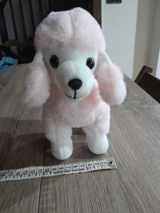 Peluche barboncino 