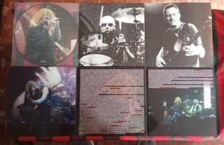 VINILO LED ZEPPELIN PICTURE THE GRAND LEVITATION