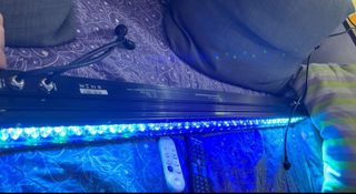 LED IP Bar 320/8 RGB DMX IP65 NUEVO