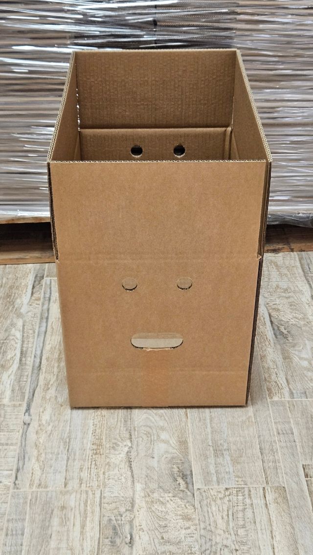 Cajas carton doble para naranjas o mudanzas 