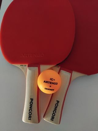 2 Palas de pingpong, pelota y bolsa