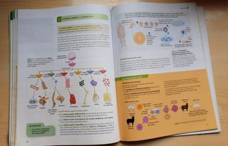 Cultura Científica 1 Bachillerato Serie
