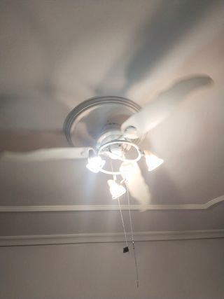 Ventilador de techo
