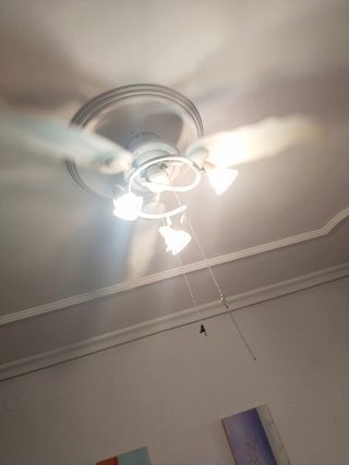 Ventilador de techo