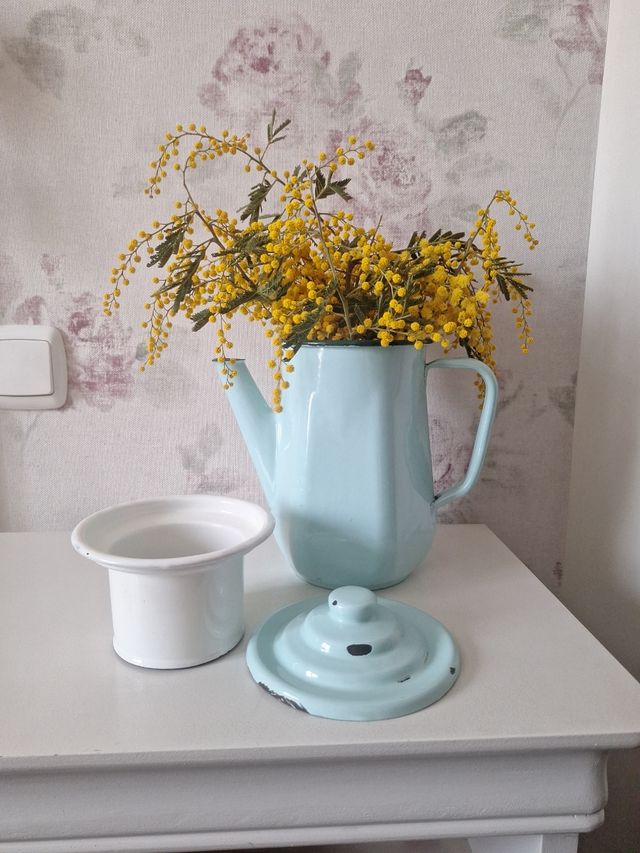 Cafetera de Metal Esmaltado Francesa