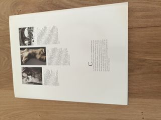 RODIN perfiles del arte, escultor