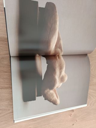 RODIN perfiles del arte, escultor