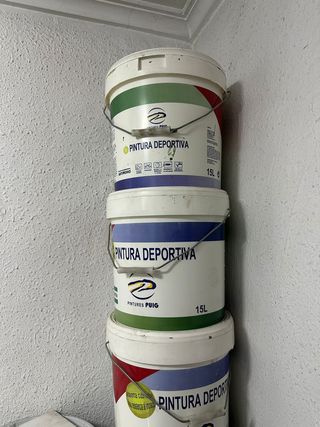 Pintura deportiva