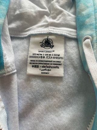Sudadera Disneyland Paris con capucha