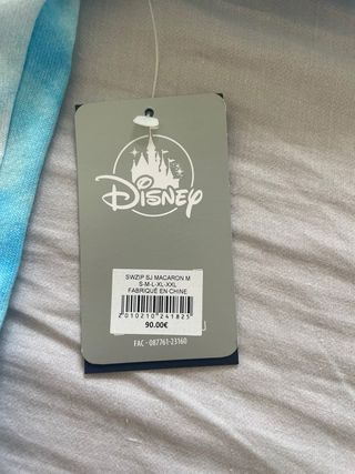 Sudadera Disneyland Paris con capucha