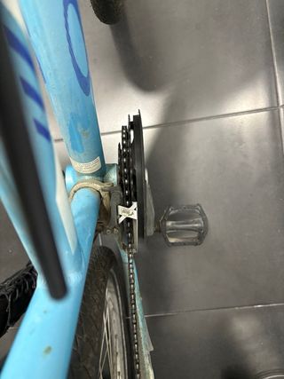 Bicicleta Orbea Paradise