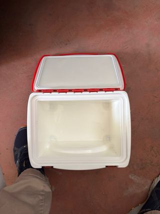 Mini nevera con radio Budwaiser