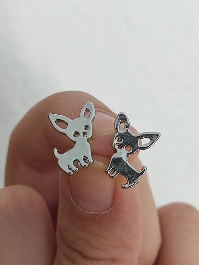 Pendientes de chihuahua