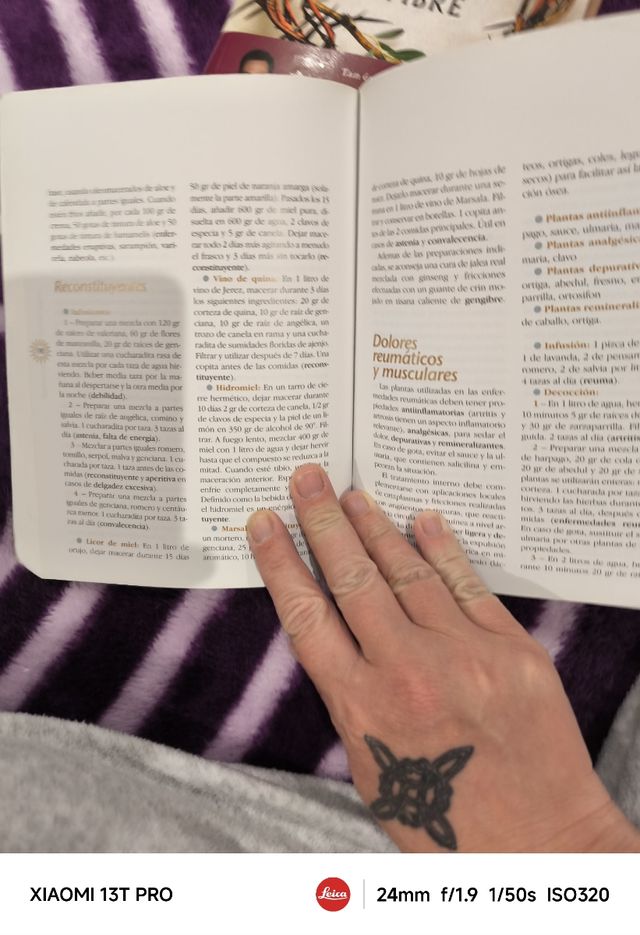 El botiquín de las hadas (Naturismo) (Spanish Edition)