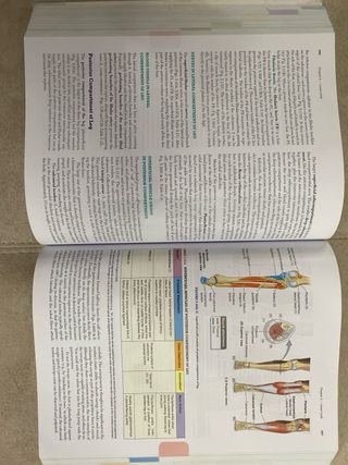 Clinically Oriented Anatomy. Keith L. Moore