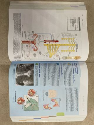 Clinically Oriented Anatomy. Keith L. Moore