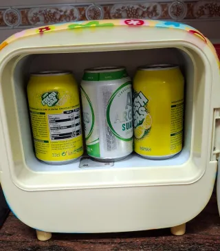 Nevera Eléctrica Portatil pequeña - ideal camping