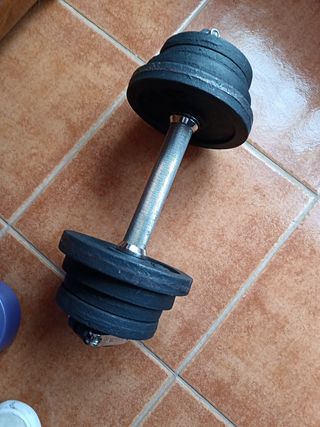 Mancuerna 15 kilos