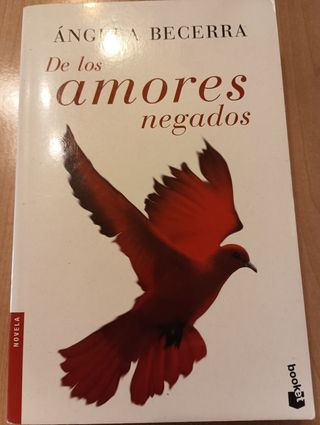 De los amores negados (Spanish Edition)