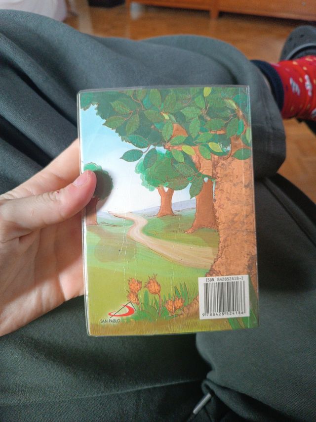 Nuevo Testamento: Recuerdo de mi Primera Comunión