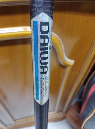 CANNA DA PUNTA DAIWA