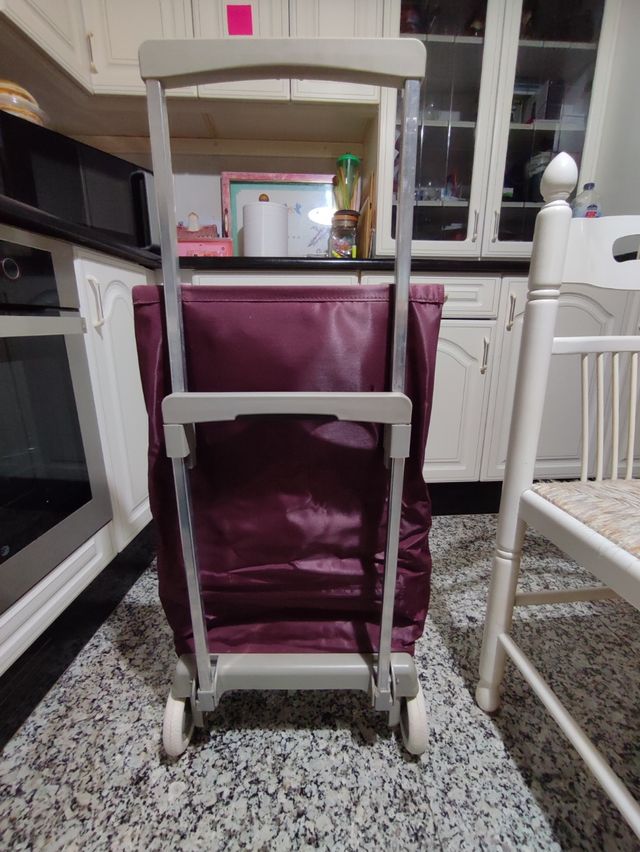 Carro de la compra Plegamatic