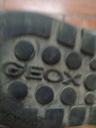 Zapato Geox