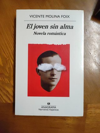 El joven sin alma: Novela romántica