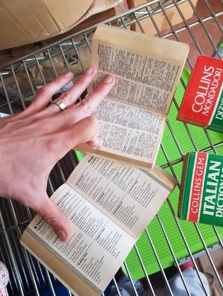 PICCOLI DIZIONARI COLLINS ITALIANO INGLESE