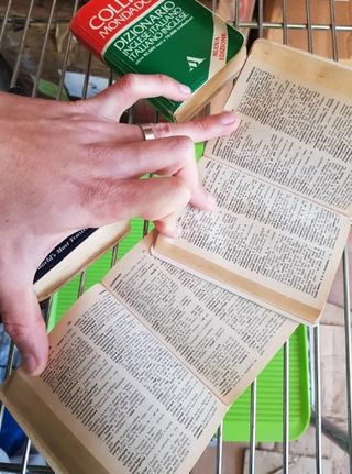 PICCOLI DIZIONARI COLLINS ITALIANO INGLESE