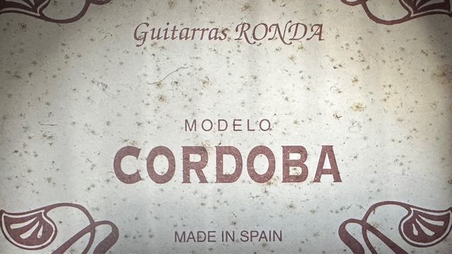 guitarra española y funda