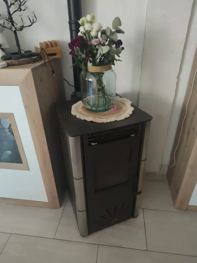 Estufa pellets Ecofores Venus