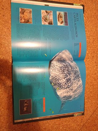 Enciclopedia Práctica del Mundo Animal (Spanish Edition)