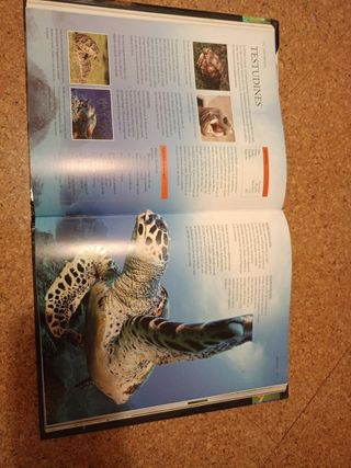 Enciclopedia Práctica del Mundo Animal (Spanish Edition)